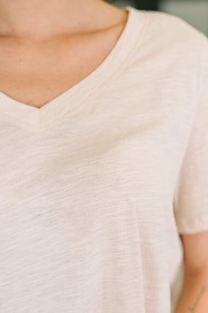 I Don't Have to Choose V-Neck Tee in Oatmeal