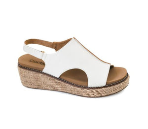 Volta II by Corky's in White